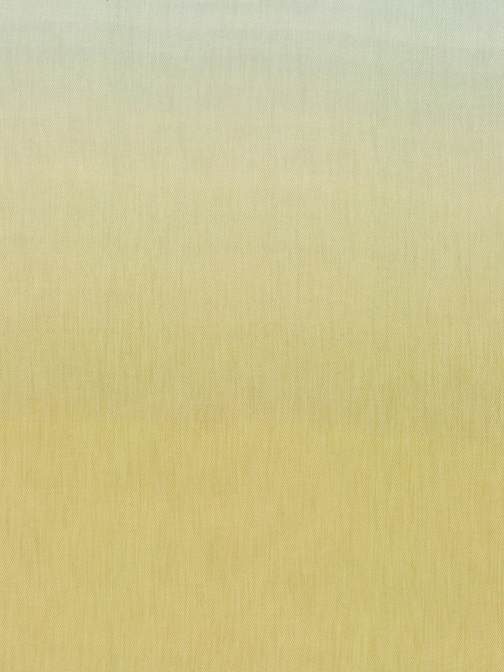 64